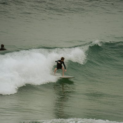 pexels-photo-19562064