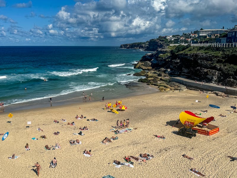 pexels-photo-31961224