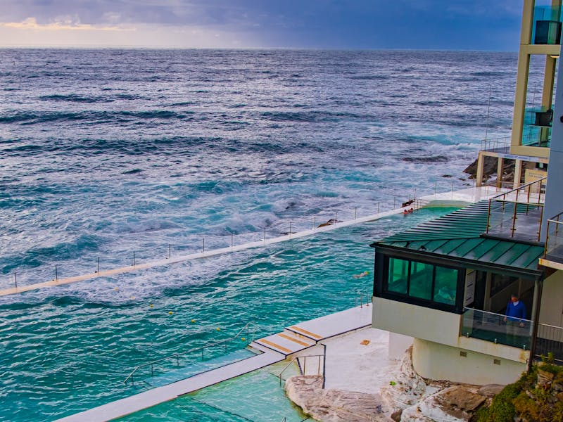 pexels-photo-32329096-1