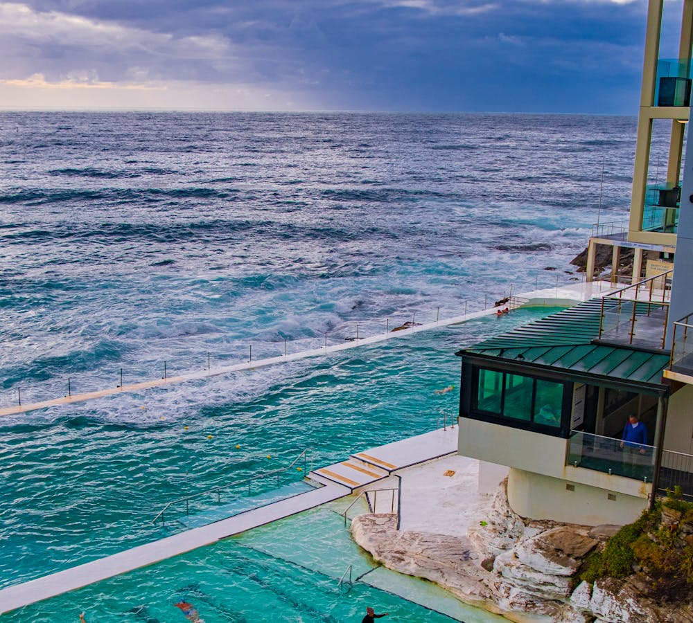 pexels-photo-32329096