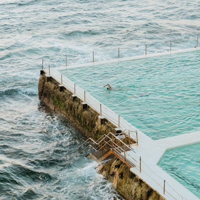 pexels-photo-32595999