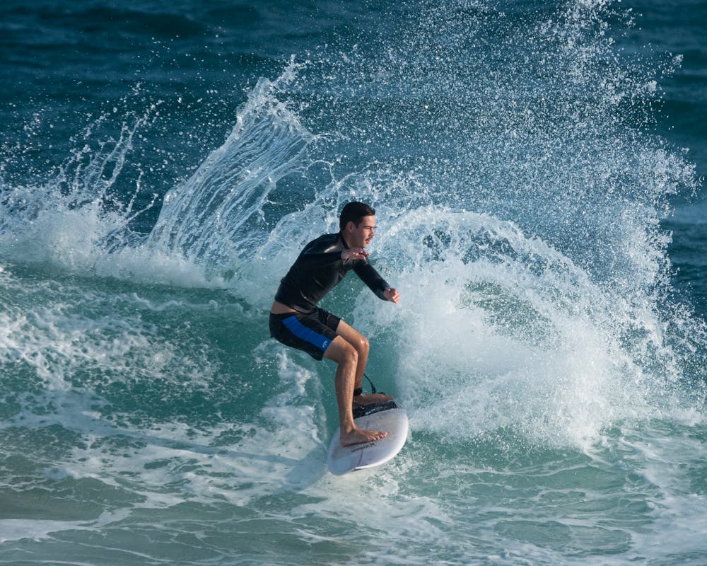 pexels-photo-33262681-1