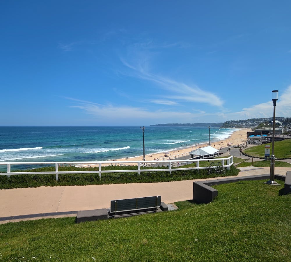 pexels-photo-33264423-1